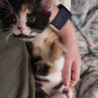 Sitter Profile Image: Megan W.