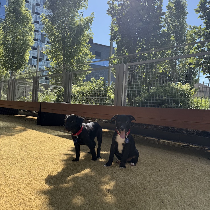 Image 1 of 25