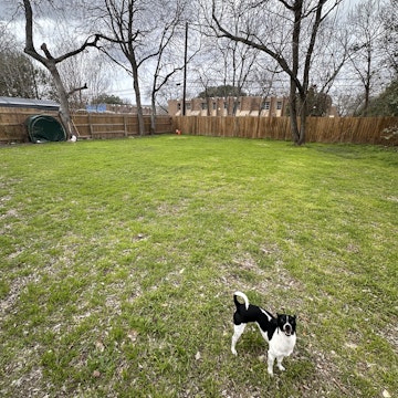 Image 5 of 25