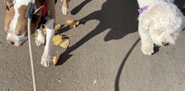 Image 5 of 25