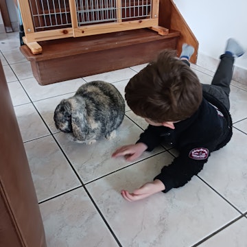 Image 4 of 8
