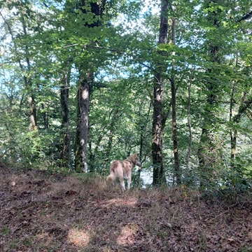 Image 5 of 8