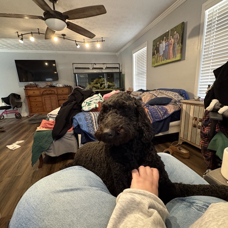 Image 1 of 5