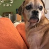 Tasha A.