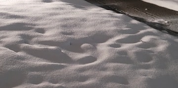 Image 2 of 111