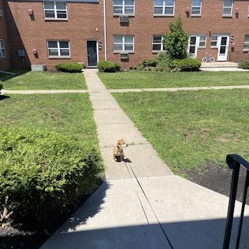 Image 4 of 110