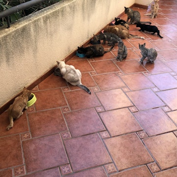 Image 3 of 25
