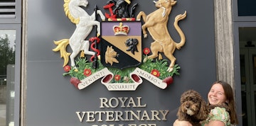 Image 3 of 6