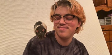 Obraz 2 z 5