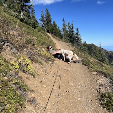 Image 1 of 5
