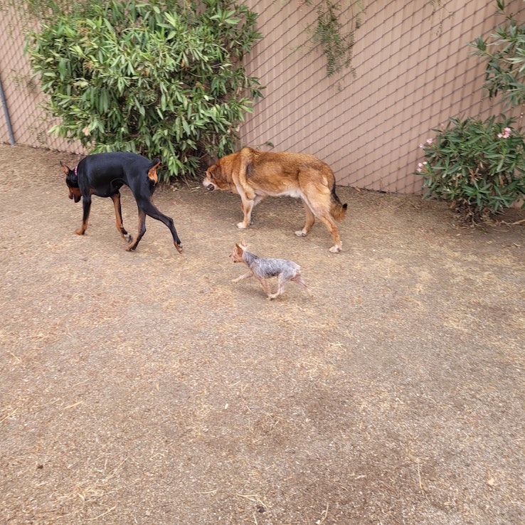 Image 1 of 25