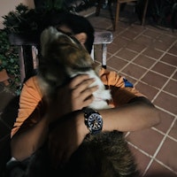Photo de profil du pet sitter : Bhargav Yadav L.
