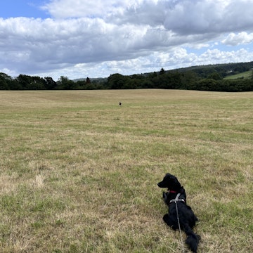 Image 2 of 12