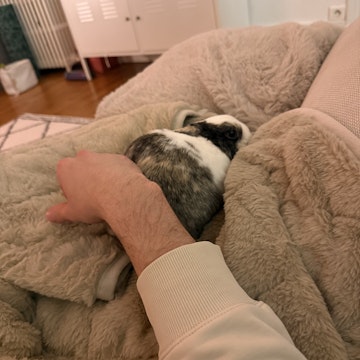 Image 4 of 5
