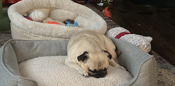 Image 5 of 5