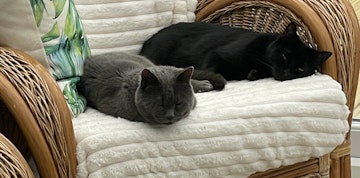 Image 4 of 6