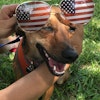 Oscar M.