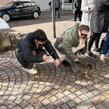 Image 2 of 7