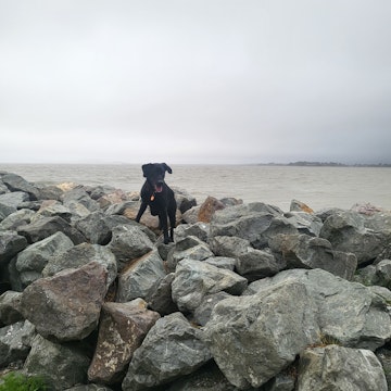 Image 5 of 56