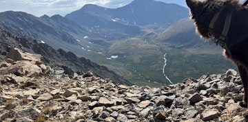 Image 5 of 5