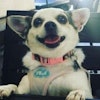 Karen B.