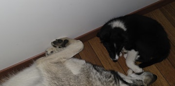 Image 5 of 6