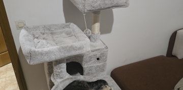 Image 4 of 6