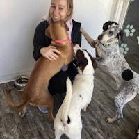 Sitter Profile Image: Siena S.