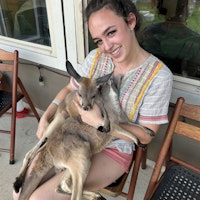 Sitter Profile Image: Emily D.