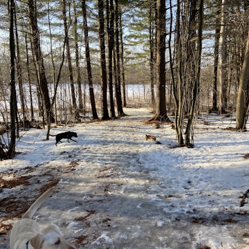 Image 2 of 7