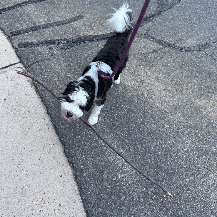 Image 1 of 10