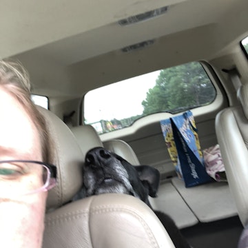 Image 1 of 48