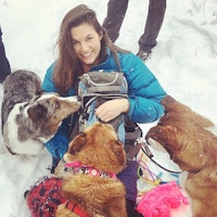 Dog Boarding Anchorage Reviews Dog Boarding Anchorage Reviews