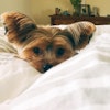 Tiffany H.