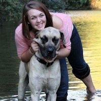 Dog Day Care Plattsburgh Ny Dog Day Care Plattsburgh Ny