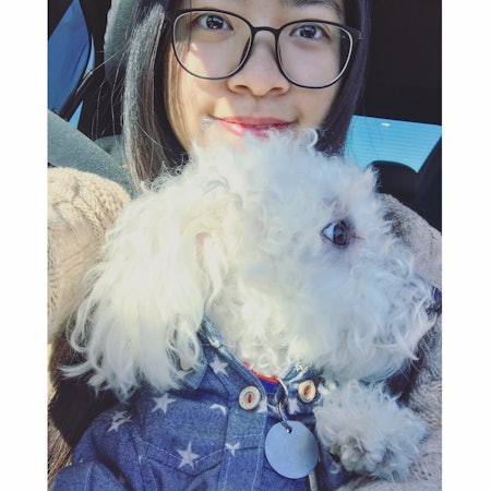 Shuyi C.