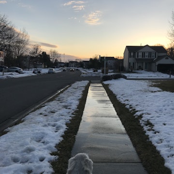 Image 2 of 106