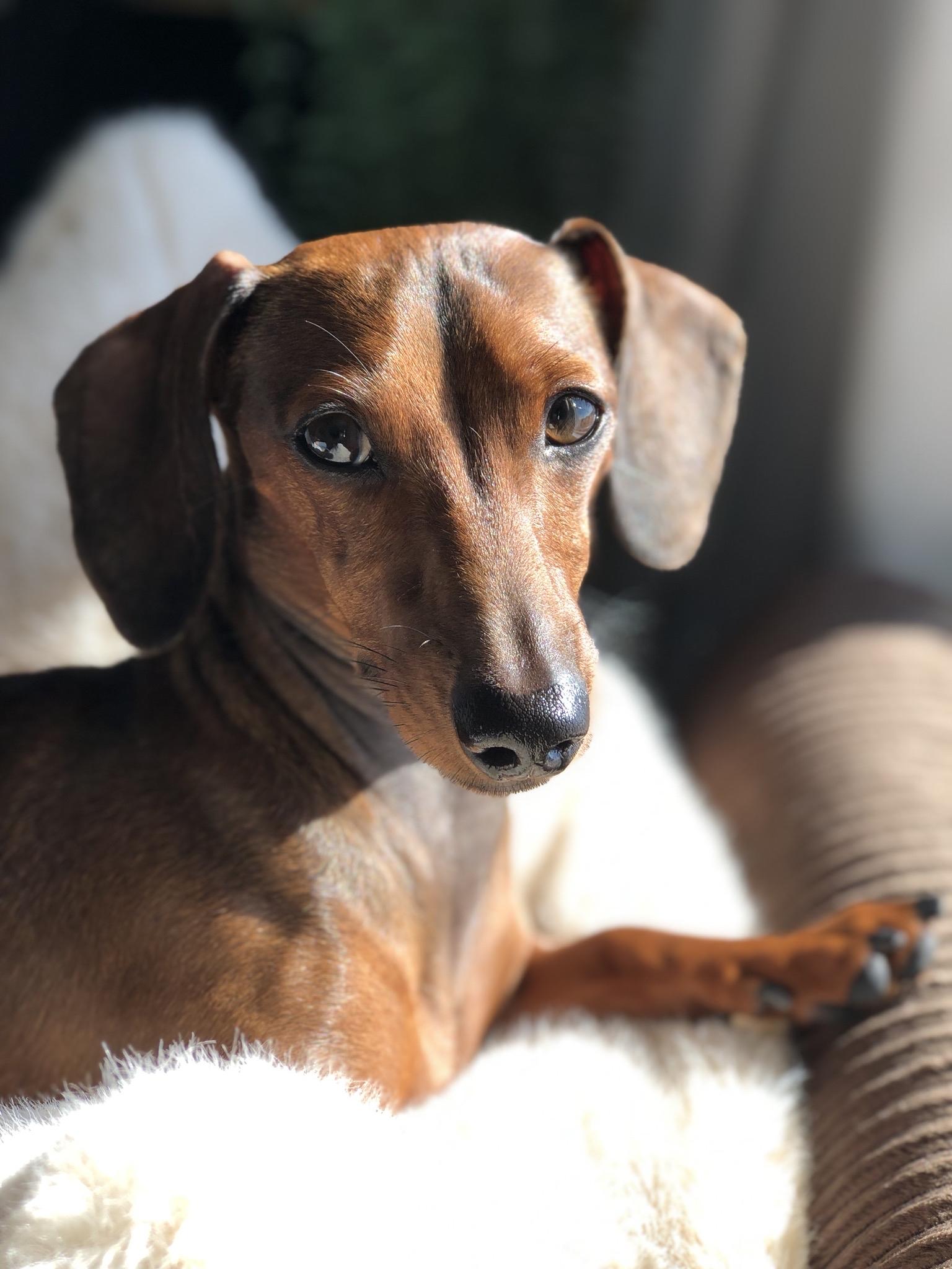 Profilbild