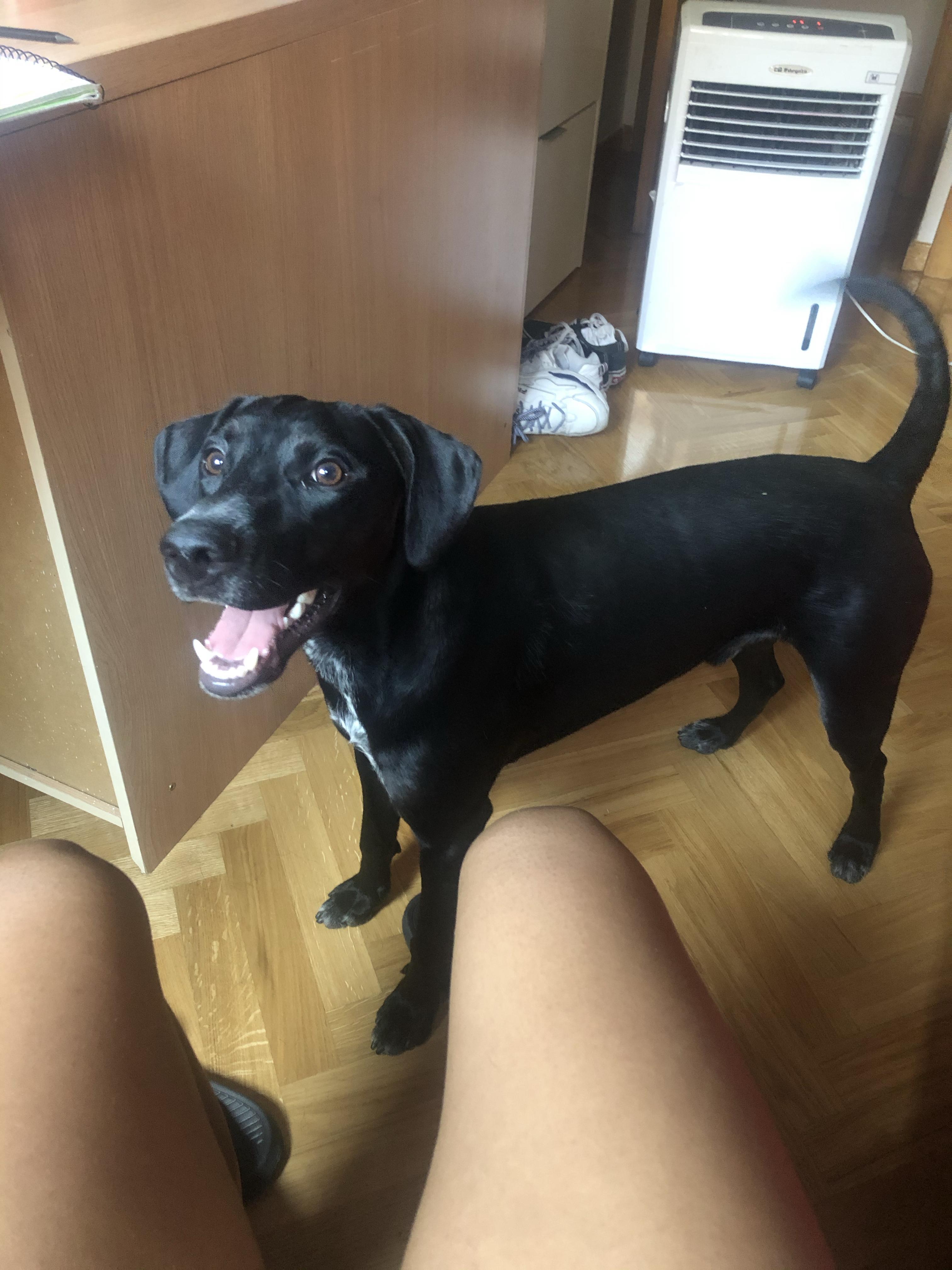Zdjęcie profilowe