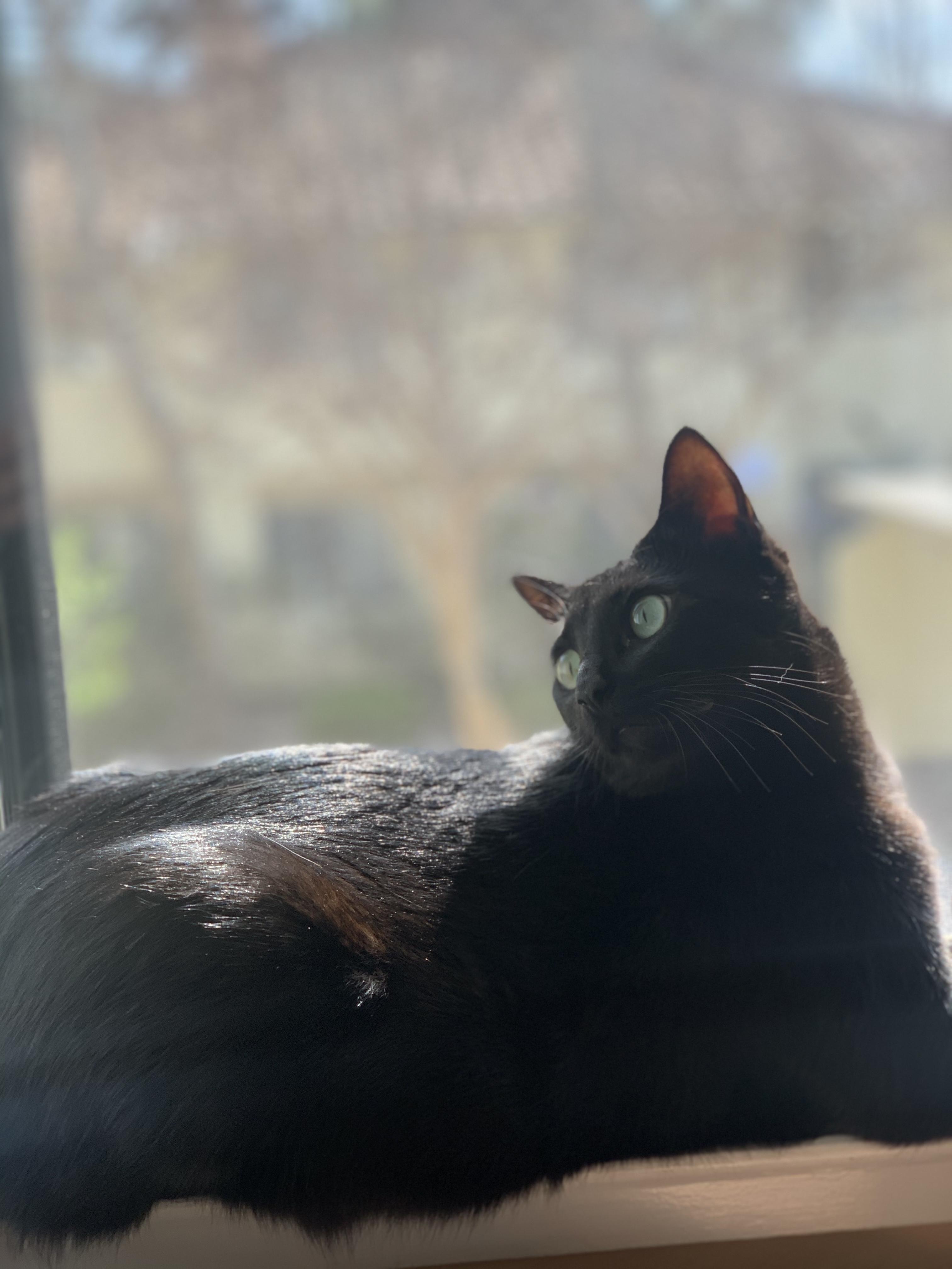 Profilbild