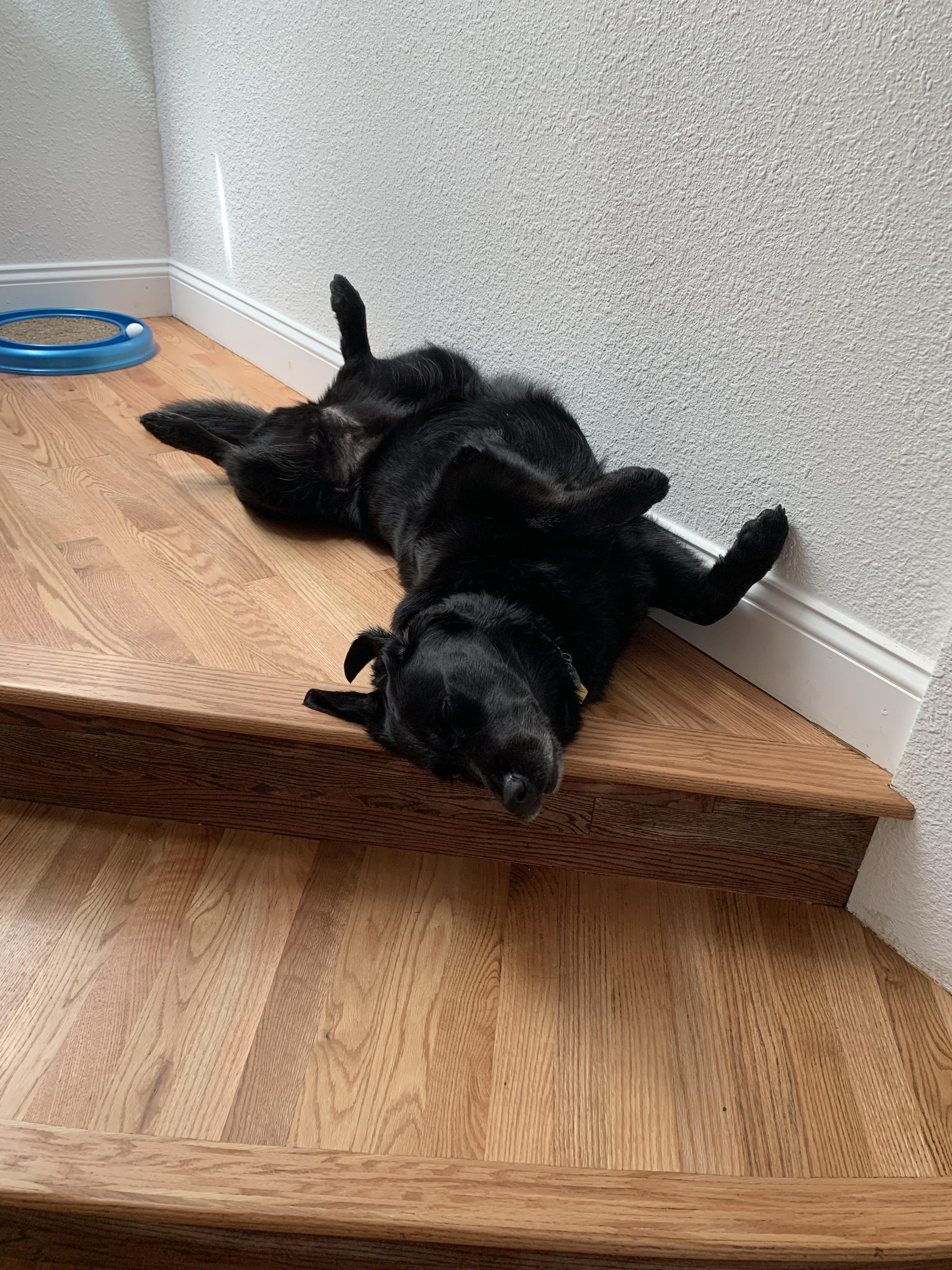 Profilbild