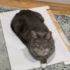 mediablock image