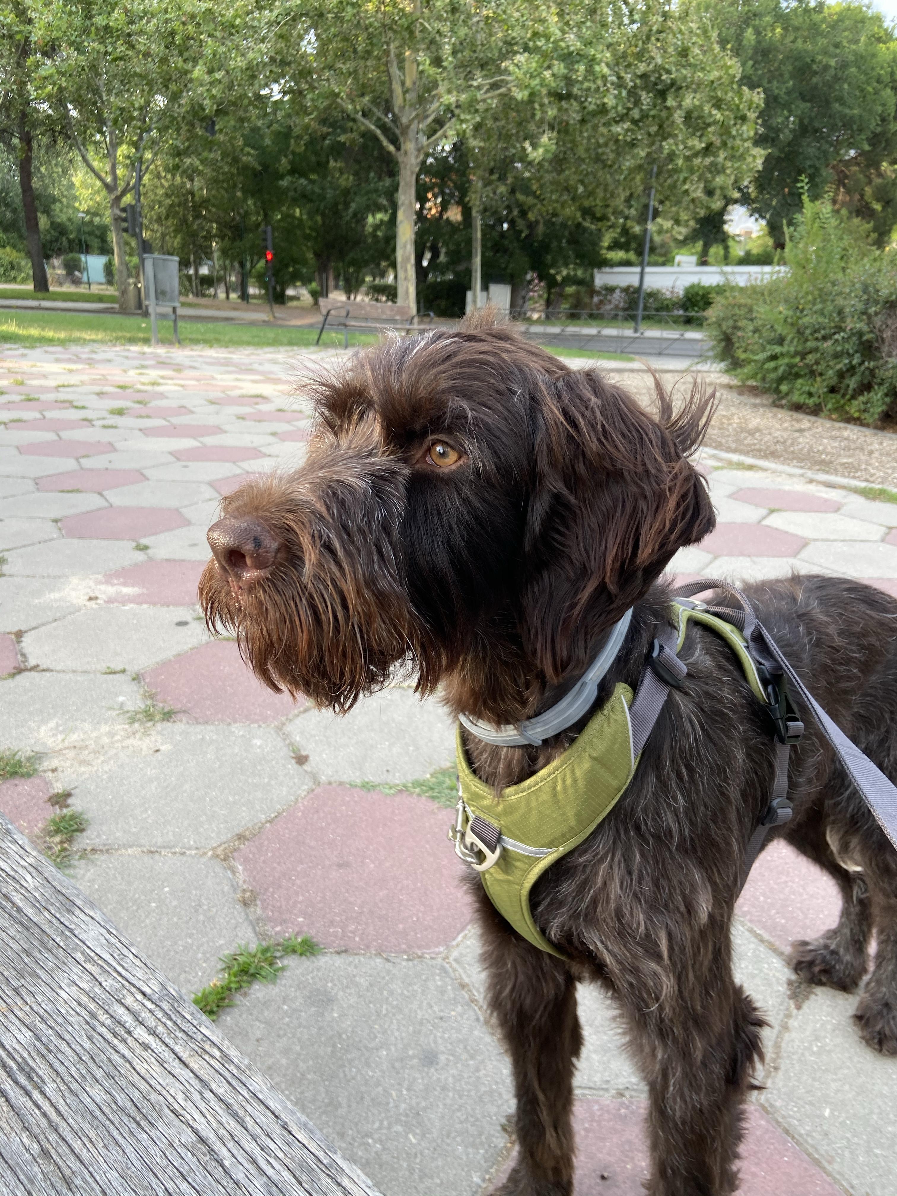 Profilbild