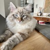 Photo de profil