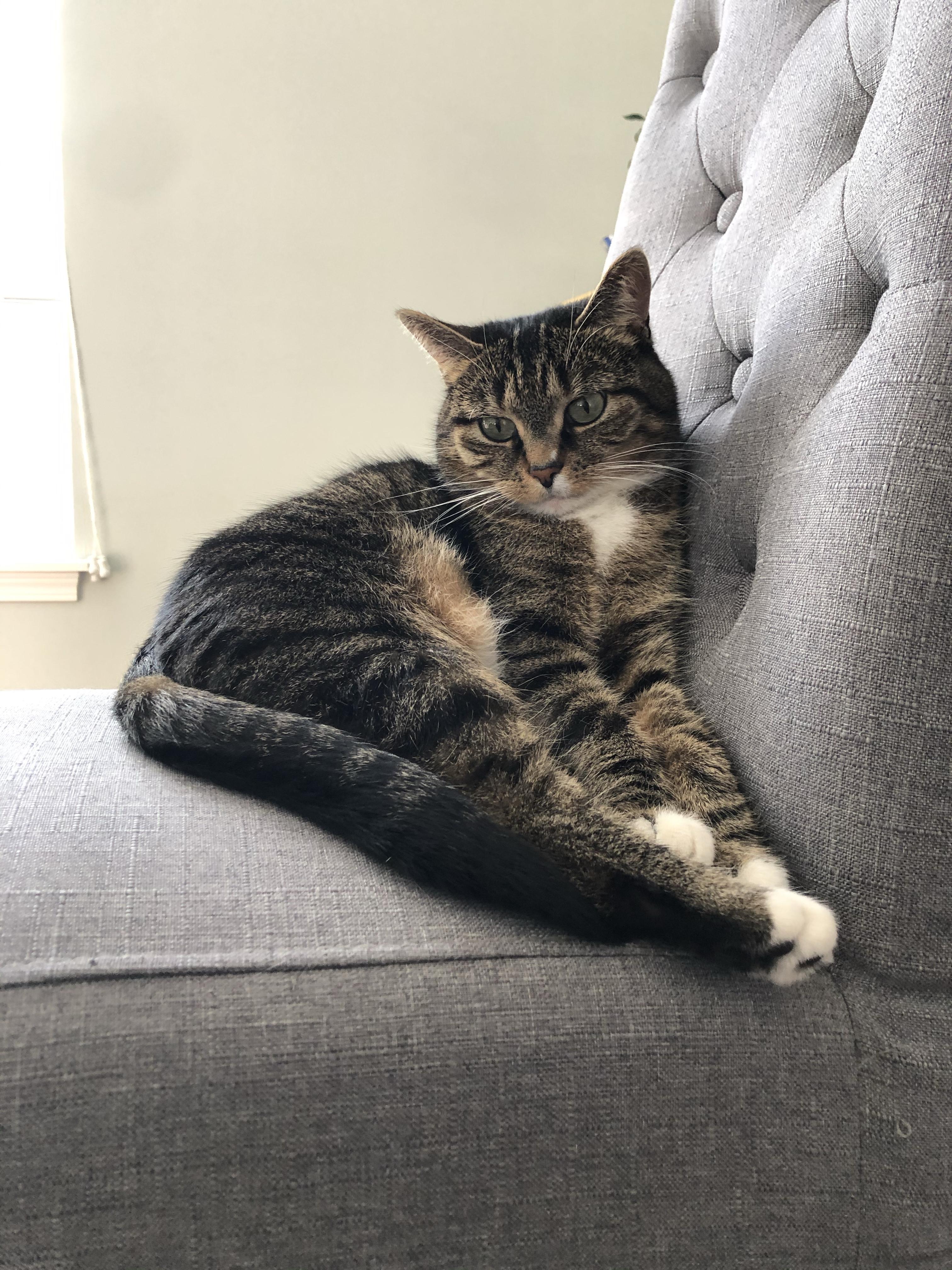 Profilbild