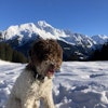 Photo de profil