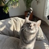 Photo de profil