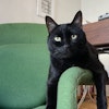 Photo de profil