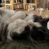 Profilbild
