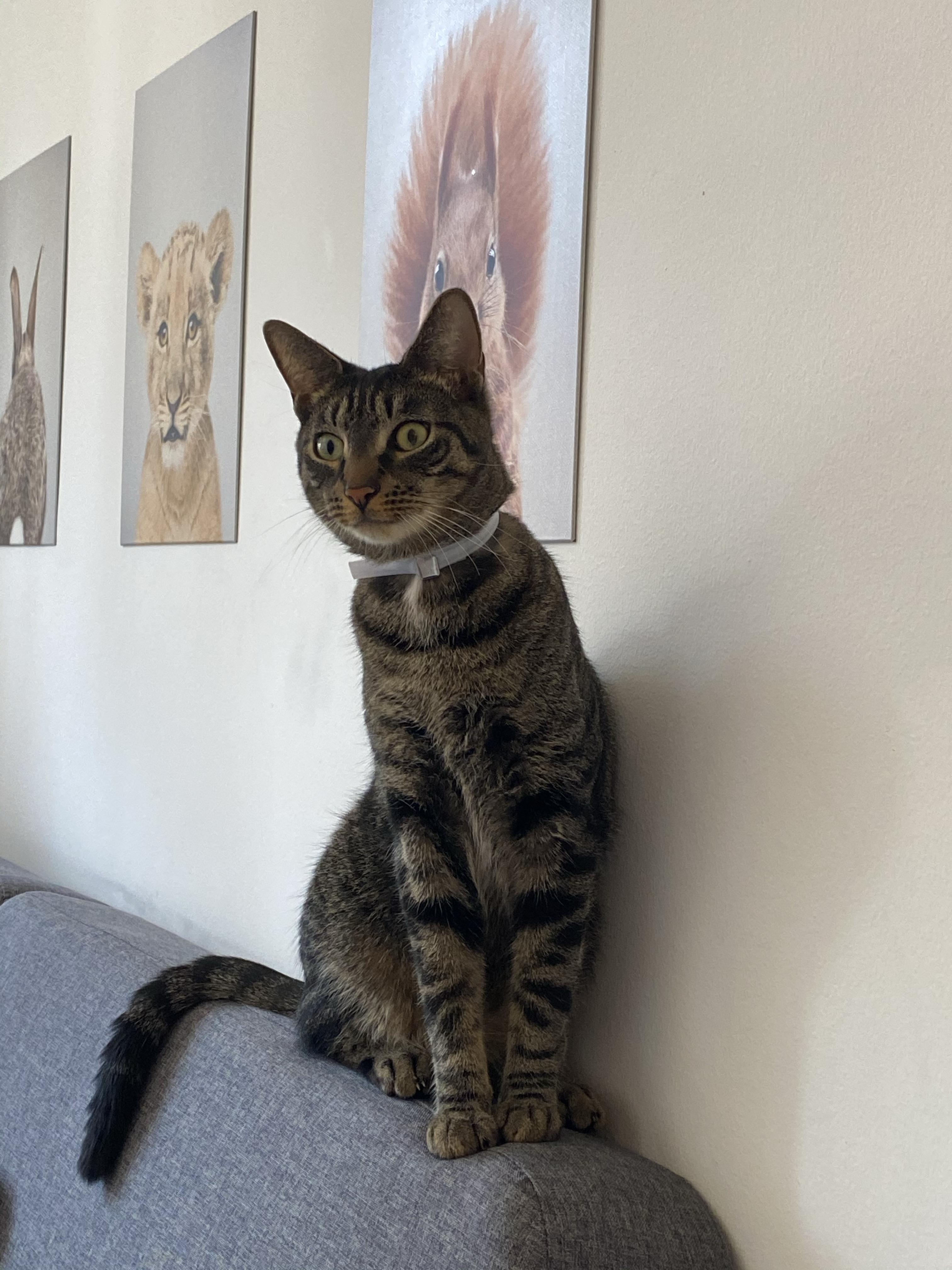 Profilbild